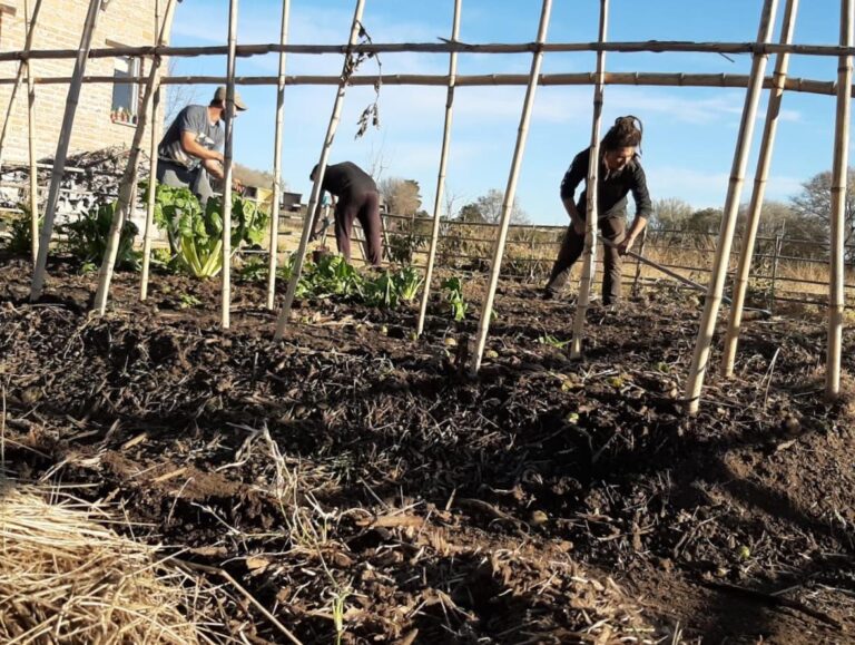 La Huerta Agroecológica